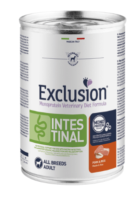 expert vet perro gastro cerdo arroz