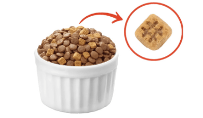 wanpy GF gato adulto pollo