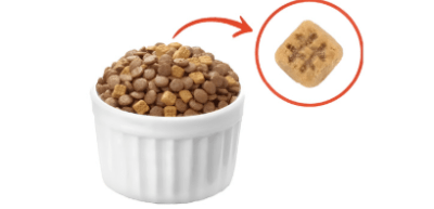 wanpy GF perro adulto pollo