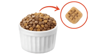 wanpy GF puppy pollo