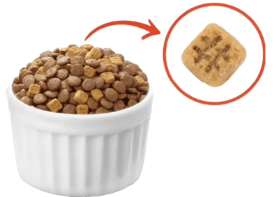 wanpy GF gato adulto salmon