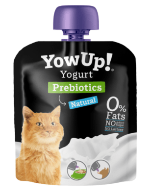 yowUp yogurt gato 85gr