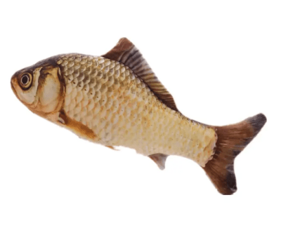 mp pez carpa c/ catnip