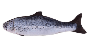 mp pez salmon c/ catnip