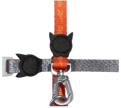 zeecat reebok suede arnes+trailla