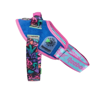 zeedog reebok aerobic flyharness