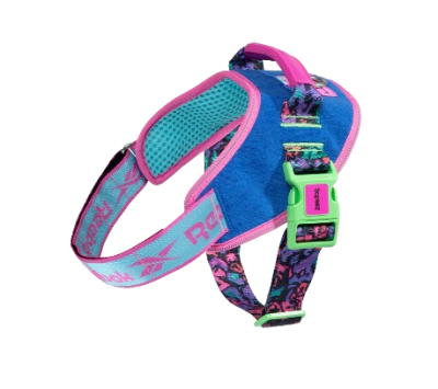 zeedog reebok aerobic flyharness