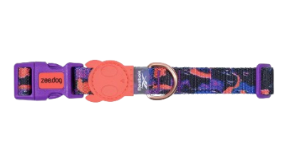 zeedog reebok court collar