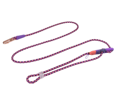 zeedog reebok court trailla hands free