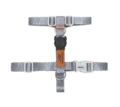 zeedog reebok suede arnes H