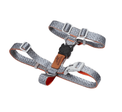 zeedog reebok suede arnes H