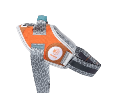 zeedog reebok suede flyharness