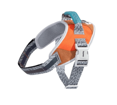 zeedog reebok suede flyharness