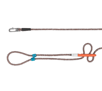 zeedog reebok suede trailla hands free