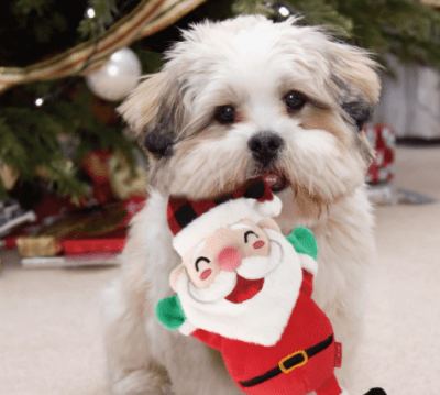 gigwi juguete navideño santa claus
