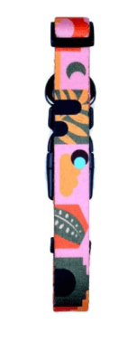 wauke collar toledo