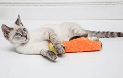 hartz cattraction cat toy