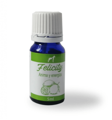 medvetarom difusor felicity