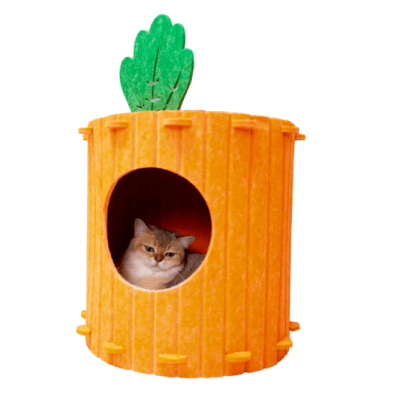 wonder cat casa zanahoria