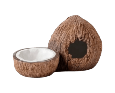 Exoterra guarida y plato de agua coconut