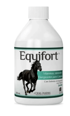 equifort