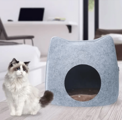 wonder refugio gato colores