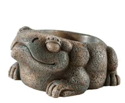 exoterra plato agua ranita