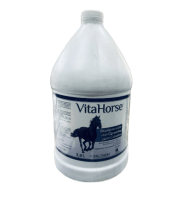 Vita horse
