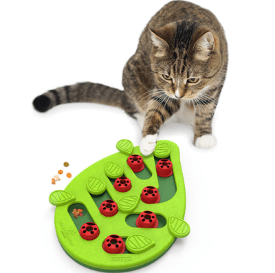 NINAO puzzle buggin out n2