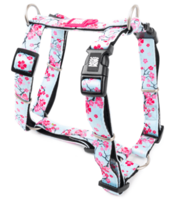 max&molly cherry arnes H