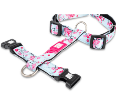 max&molly cherry arnes H