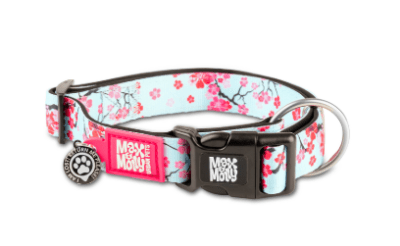 max&molly cherry collar