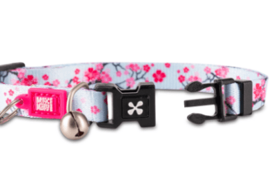 max&molly cherry collar gato
