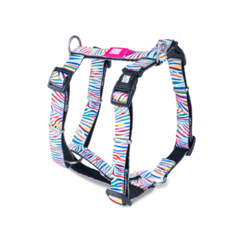 max&molly magic cebra arnes H