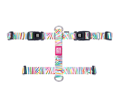 max&molly magic cebra arnes H