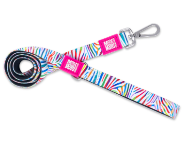 max&molly magic cebra trailla