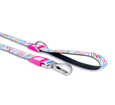 max&molly magic cebra trailla