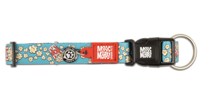 max&molly popcorn collar