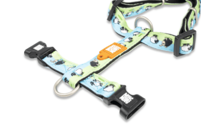 max&molly sheep arnes H