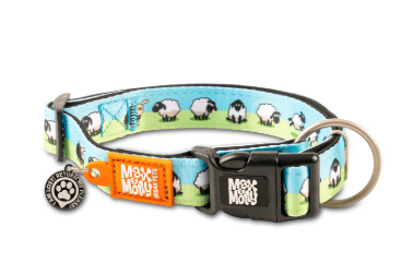 max&molly sheep collar