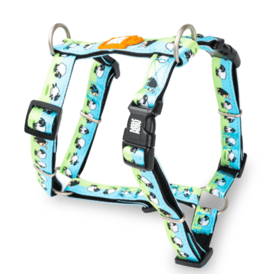 max&molly sheep arnes H