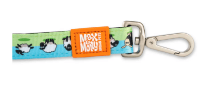 max&molly sheep trailla