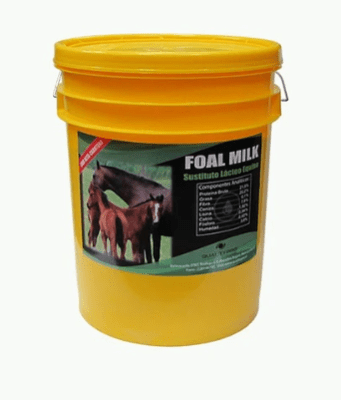 foal milk leche potrillo