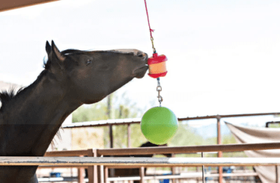 jolly stall snack COMBO colgante c/ pelota