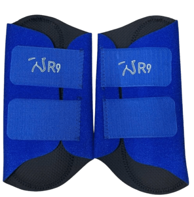 r9 canilleras tauro
