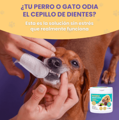 PETmyPET dental wipes