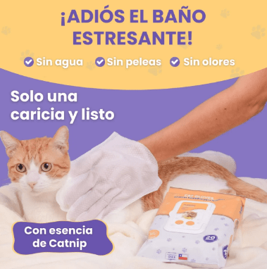 PETmyPET guantes húmedos GATO