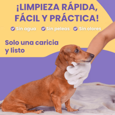PETmyPET guantes húmedos