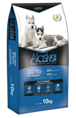Alaska puppy