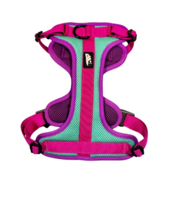 sheepdog arnes puelo